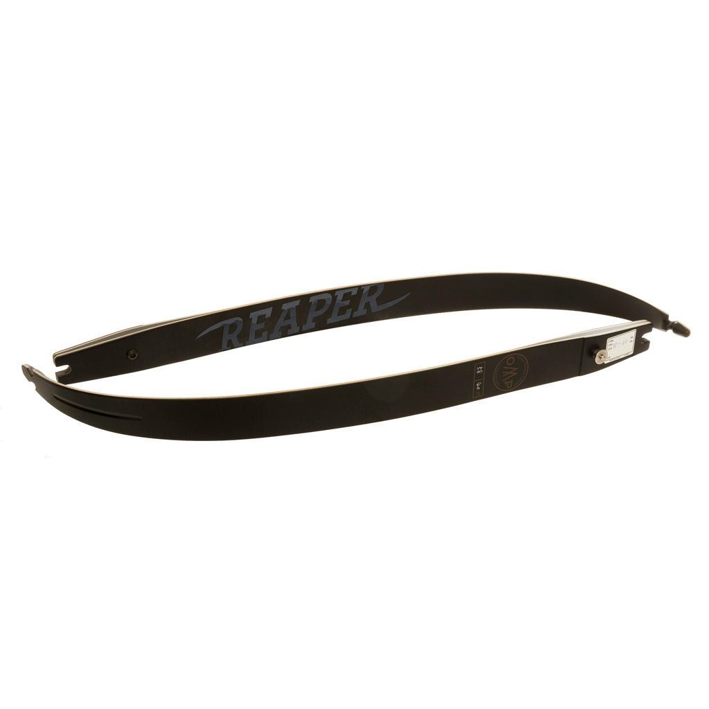 254744946.jpg