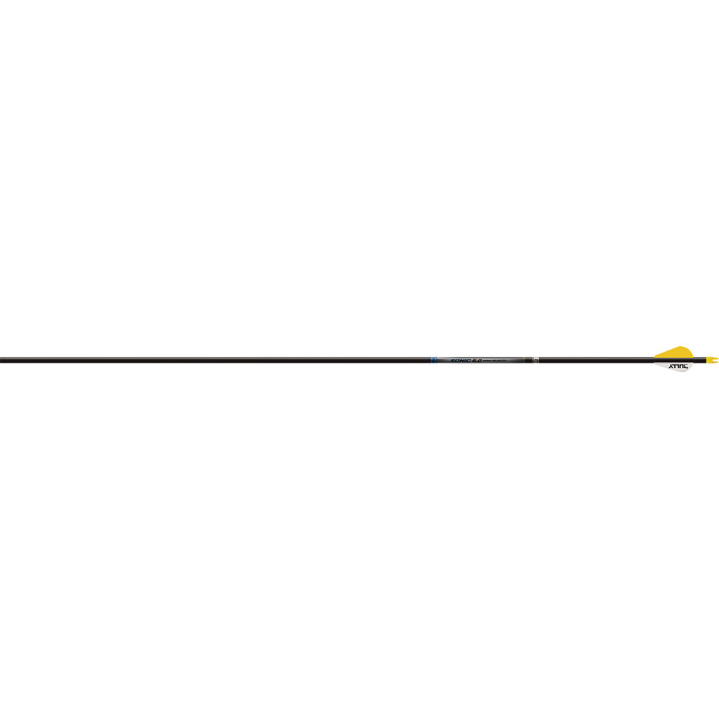 274555596.jpg