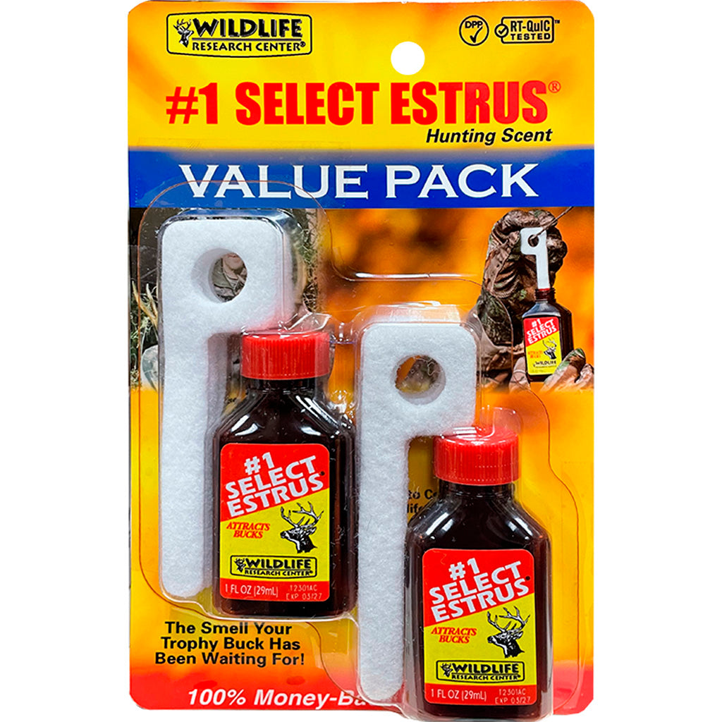 211289817.jpg