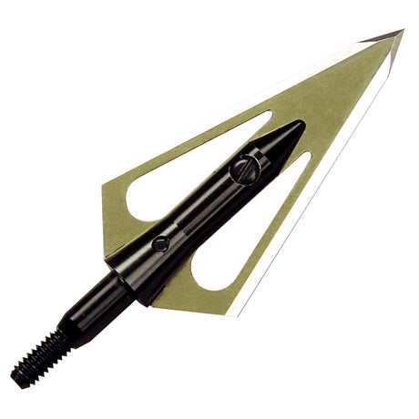 254918762.jpg