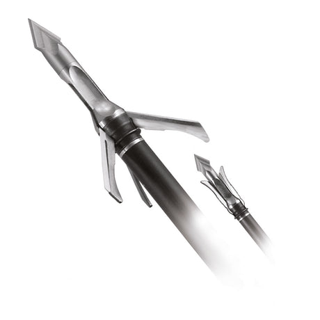 254918861.jpg
