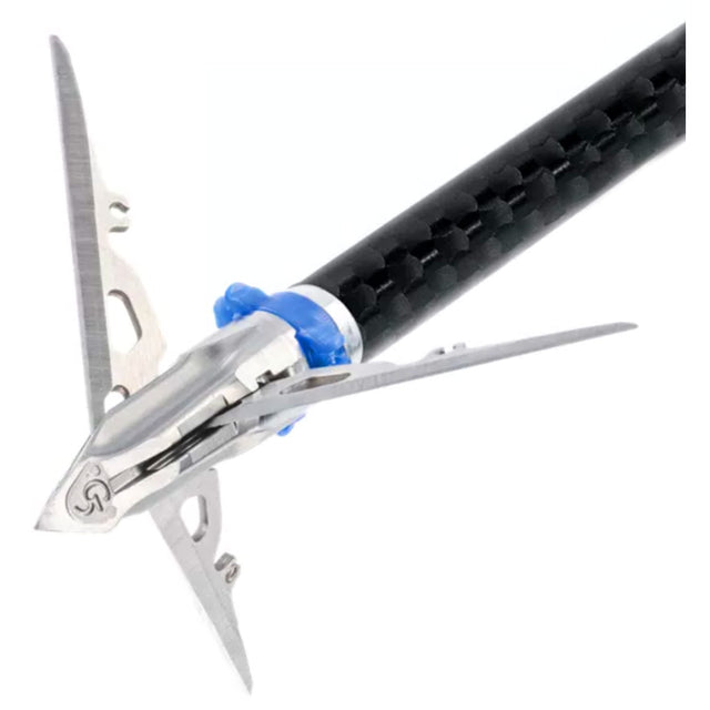 254918922.jpg