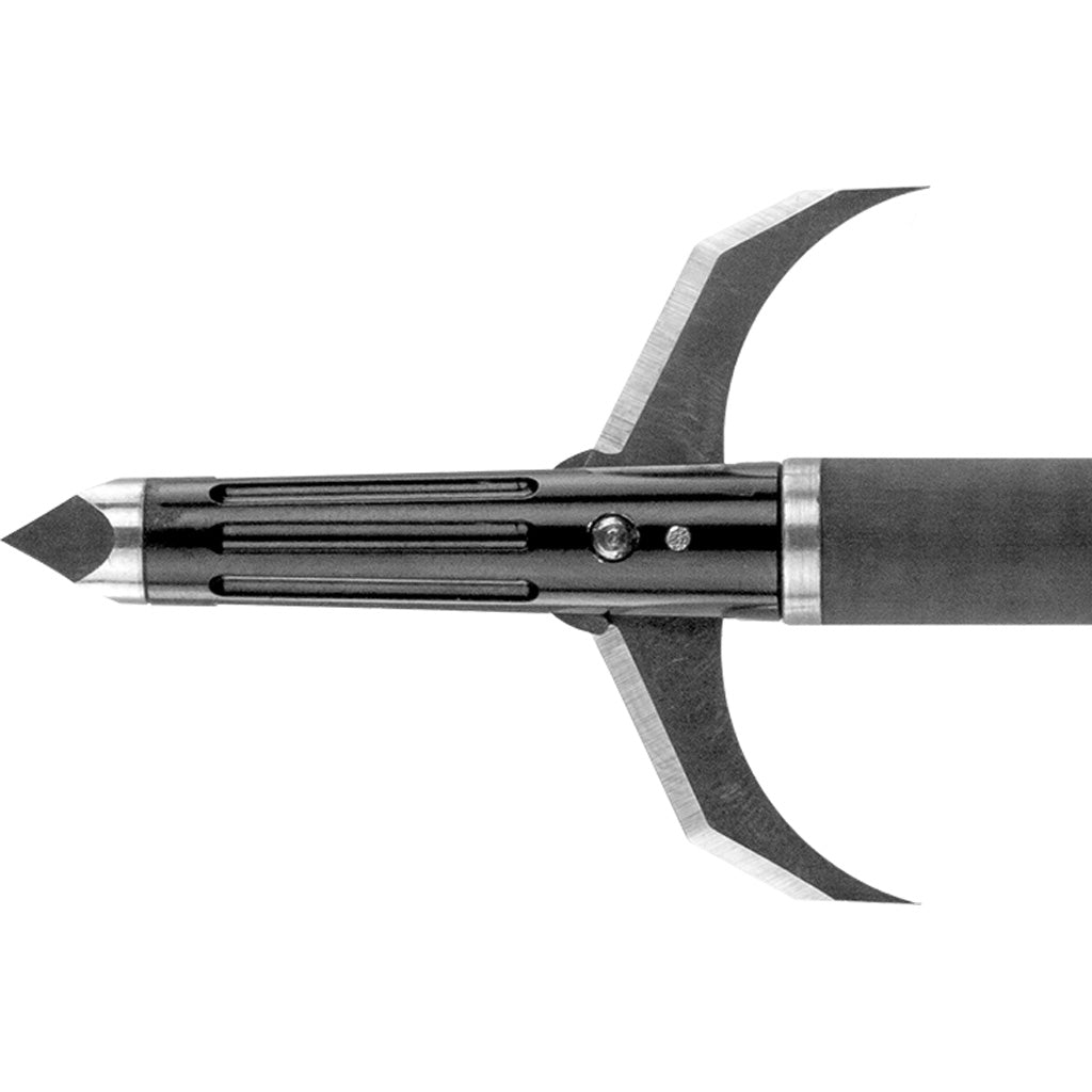 254919137.jpg