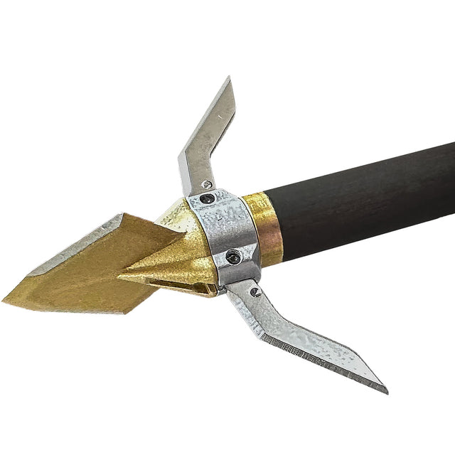254919171.jpg