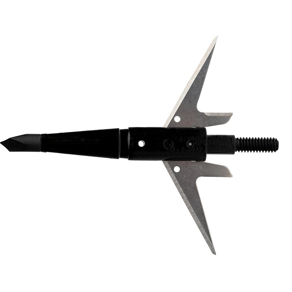 254919173.jpg