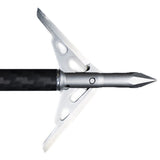 254919273.jpg