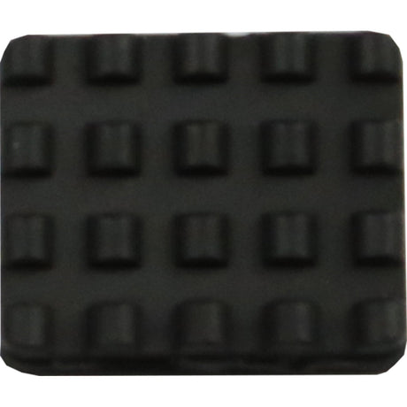 274553931.jpg