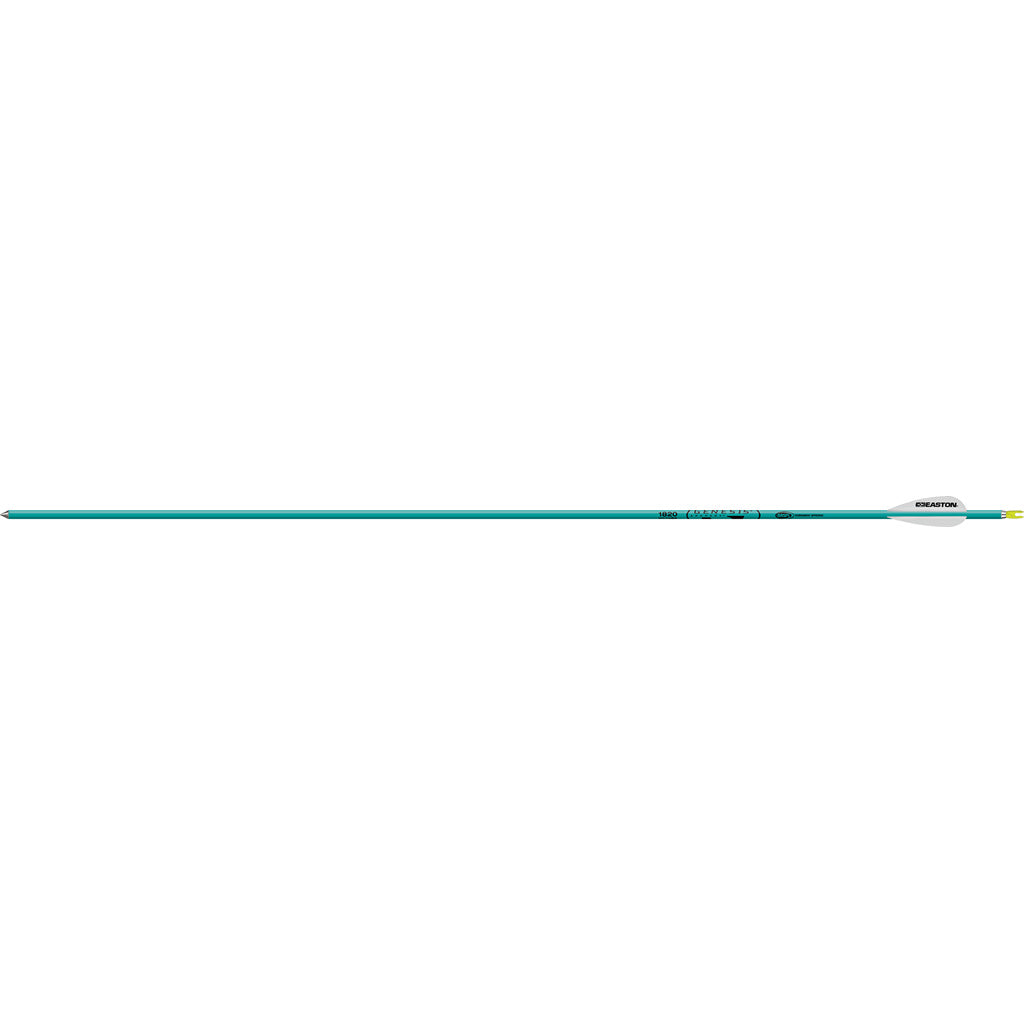 274554385.jpg