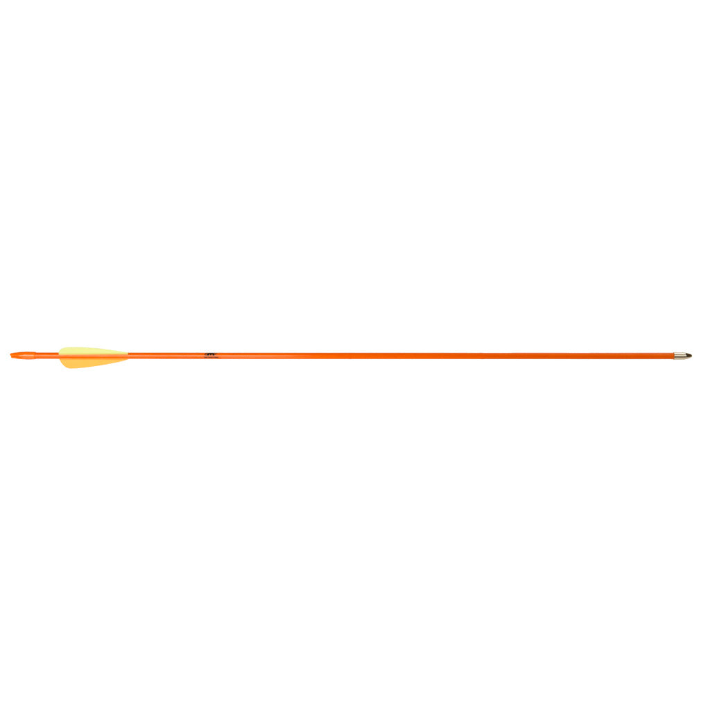 274555068.jpg