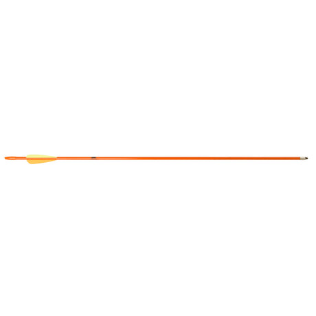 274555068.jpg