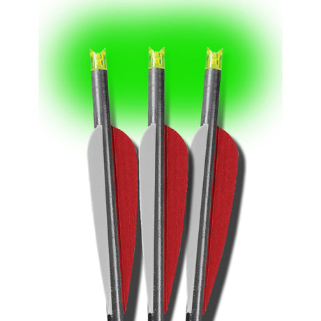 274555329.jpg