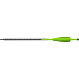 274556202.jpg