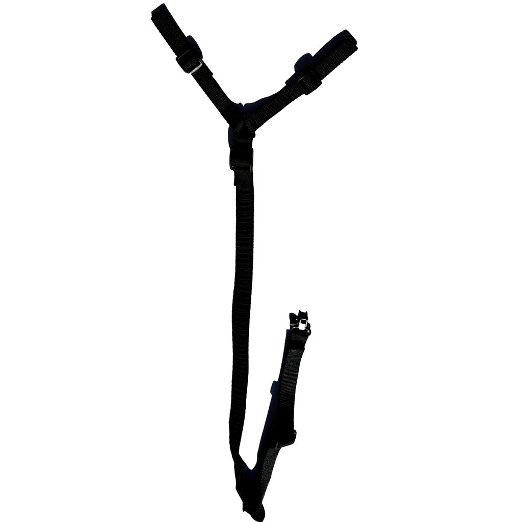 274556241.jpg